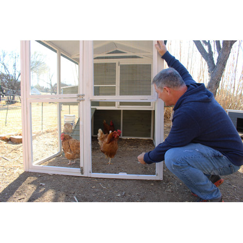 Zylina Big Green Chicken Coop & Reviews Wayfair